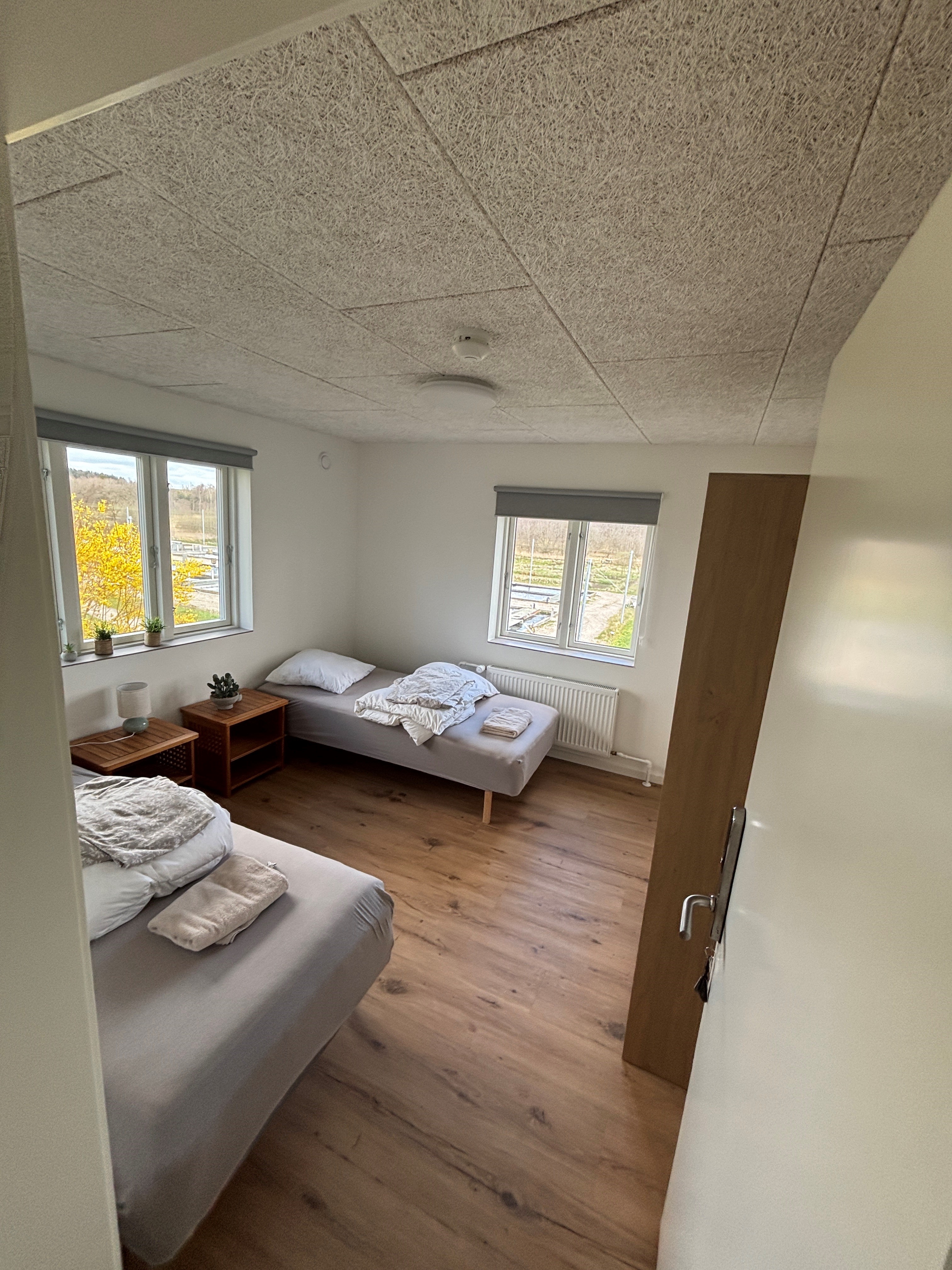 Eight shirts arranged on table in black, olive, grey, blue, white, red, mustard, and green.